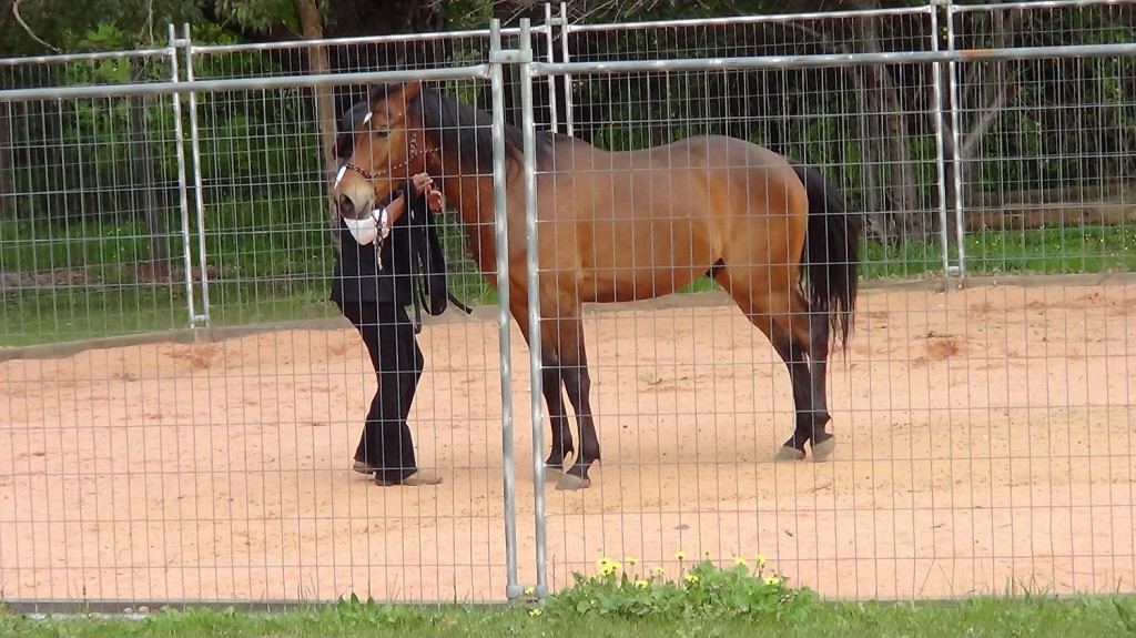 1_Equus Bonding_Training